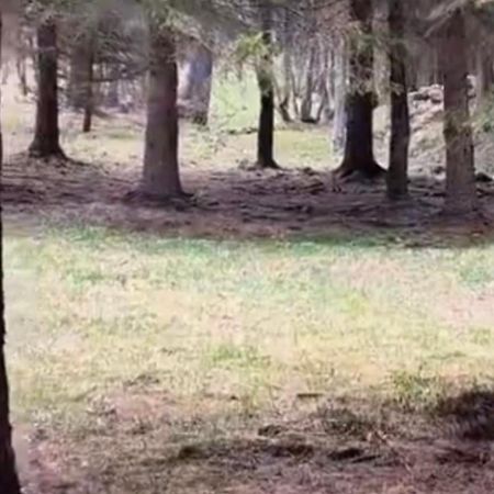 Im Spiss Lejlighed Macugnaga Eksteriør billede